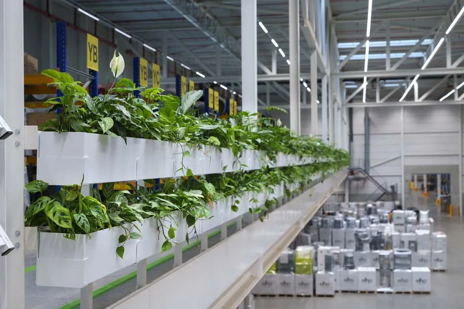 Foto van de met planten gevulde ruimtes bij Elho, een weerspiegeling van hun toewijding aan duurzaamheid en gezonde werkomgevingen