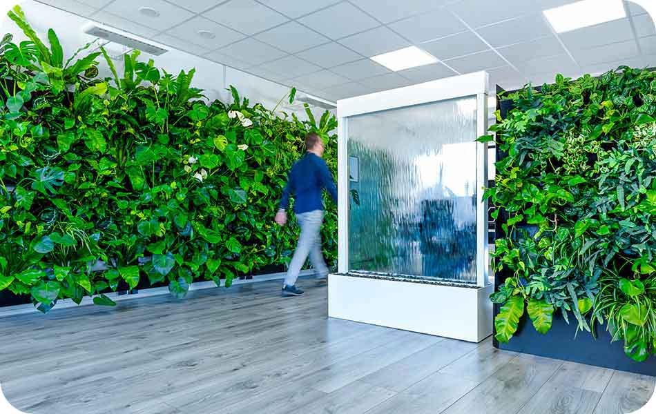 Waterwand en plantenwanden in kantoorruimte