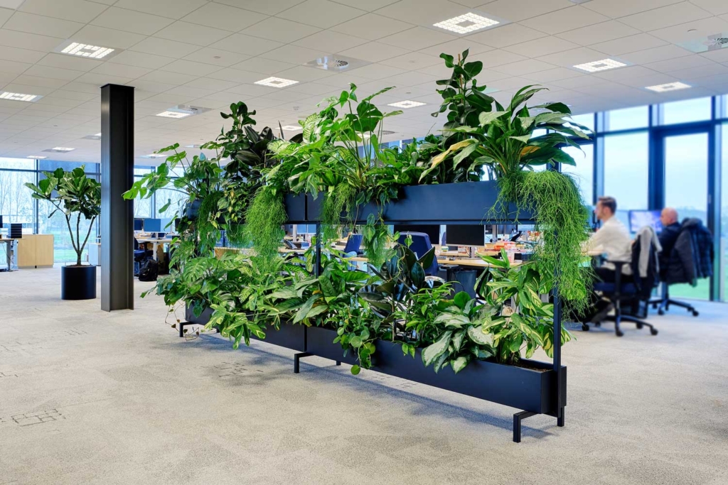 Werkplekafscheiding planten