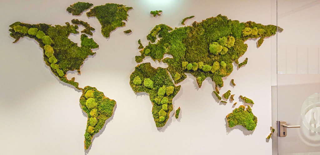 Mix van plat en bolmos op een wereldkaart