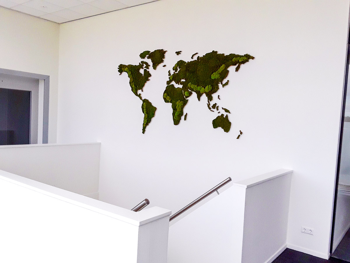 Platmos en bolmos mix wereldkaart op de muur