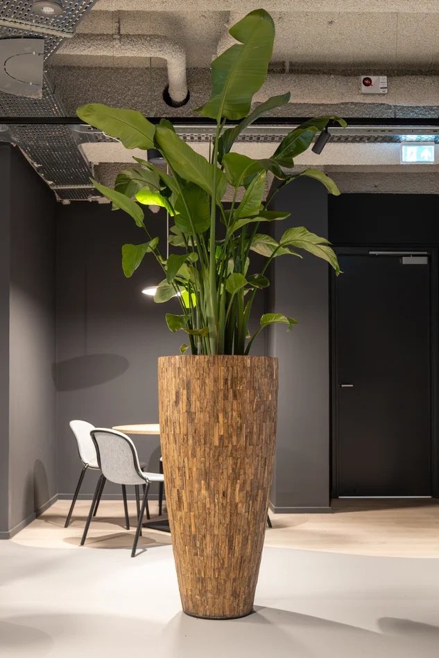 WitteveenBos-1.webp