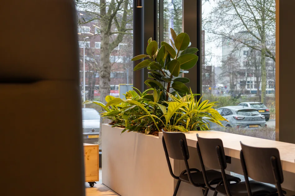 WitteveenBos-4.webp