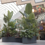 Urban jungle beplanting in een op maat gemaakt zitmeubel