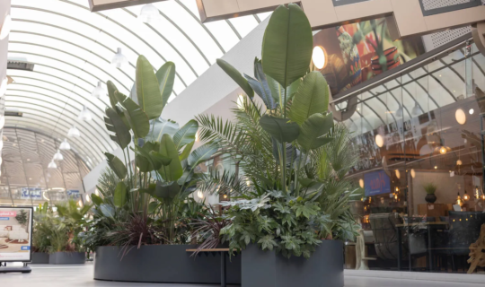 Urban jungle beplanting in een op maat gemaakt zitmeubel
