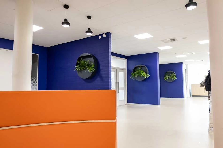 XL-wall-planters-met-groenbeleving.webp