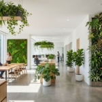 Modern kantoor met biofiele ontwerpelementen: moswand, hangplanten, verticale tuin en groen bij ramen in natuurlijk licht