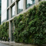 Verticale groene gevel met dicht bladerdek op modern glas-en-betonnen kantoorgebouw, gefotografeerd vanuit straatperspectief.