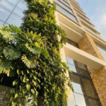 Verticale groene plantenwand met Monstera en klimplanten op glazen gevel van modern kantoorgebouw in middagzon.