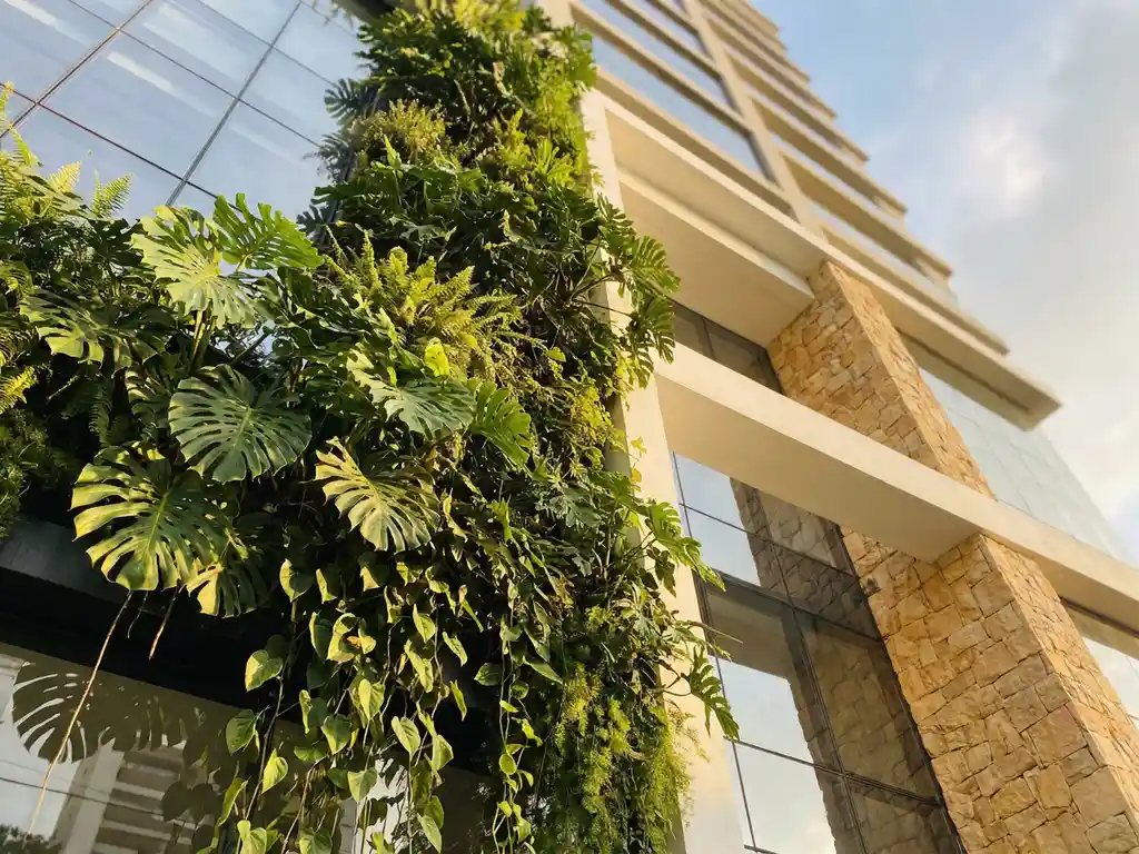 Verticale groene plantenwand met Monstera en klimplanten op glazen gevel van modern kantoorgebouw in middagzon.