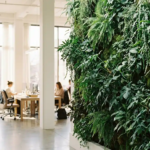Levende groene plantenwand met mos en bladeren in modern kantoorinterieur, verlicht door natuurlijk daglicht via vloerhoge ramen.