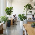 Diverse kantoorplanten in moderne witte en antraciet plantenbakken in lichte minimalistische werkruimte met natuurlijk daglicht