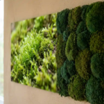 Twee mospanelen naast elkaar op een moderne muur: levend groen mos en geconserveerd mos in diepe bosgroentinten.