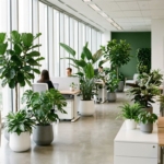 Moderne kantoorinterieur met diverse groene planten in witte planters, grote ramen en natuurlijk licht