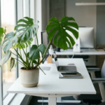 Monstera deliciosa met glanzende gespleten bladeren op wit bureau in modern kantoor met natuurlijk licht