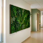 Levend moskunstwerk in smaragdgroene tinten aan witte muur van zorginstelling, verlicht door warm natuurlijk licht.
