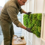 Professionele installateur plaatst levendige groene moswand op wit montagsysteem in modern kantoor