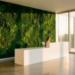 Smaragdgroene moswand achter elegante witte receptiebalie in moderne kantoorruimte met betonnen vloeren