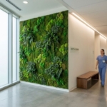 Groene moswand in moderne ziekenhuisgang met natuurlijk licht en minimalistische witte inrichting