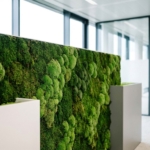 Groene moswand onderhoud nodig?