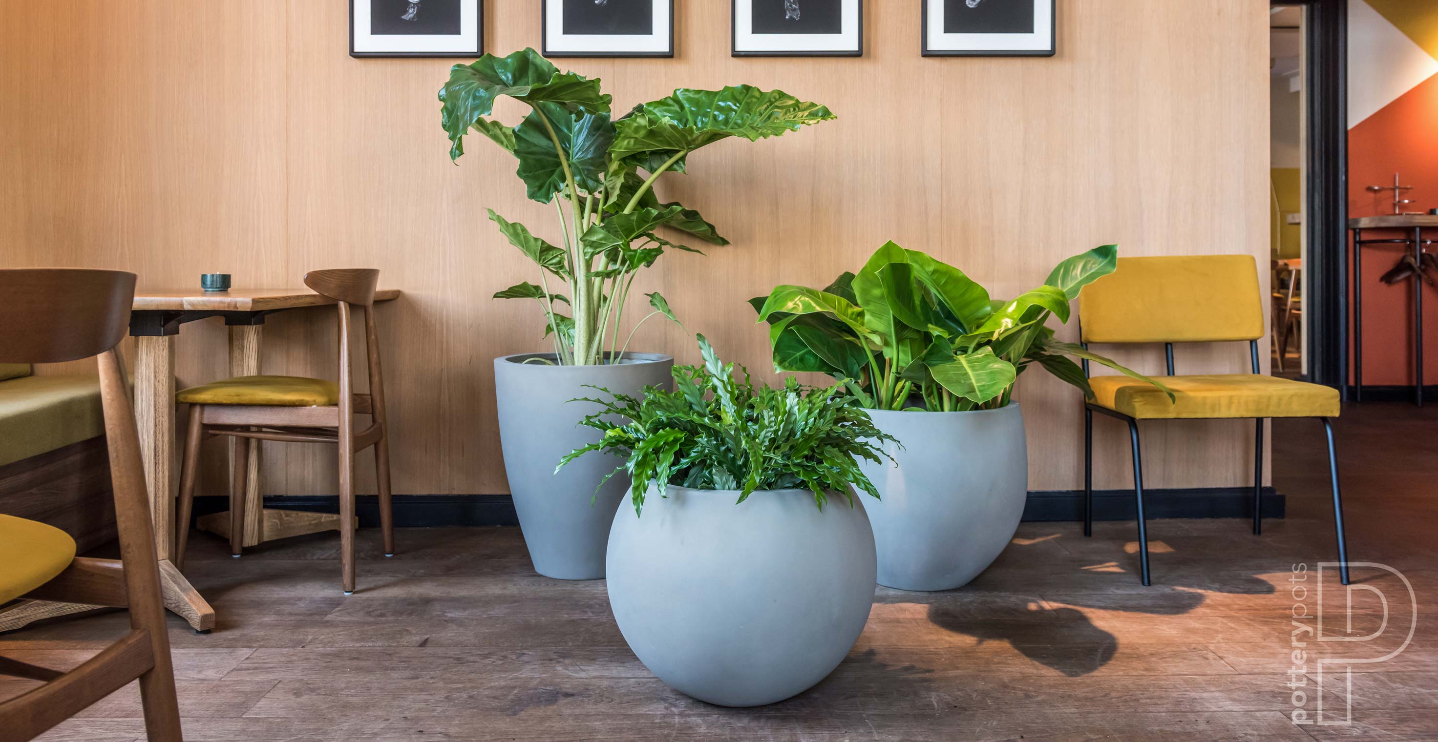 Plantenbakken van pottery pots