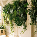 Weelderige verticale plantenwand met Monstera-bladeren en hangende varens in een modern interieur, verlicht door warm natuurlijk licht.