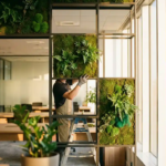 Professionele installatie van verticale plantenwand met groene mospanelen en tropische planten in modern kantoor